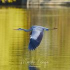 Flug übers Wasser