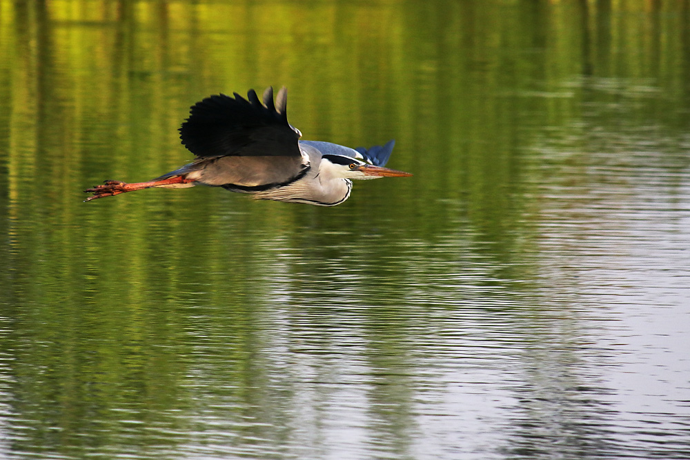 Flug über´s Wasser