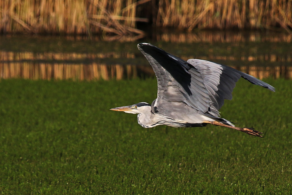 Flug über´s Wasser