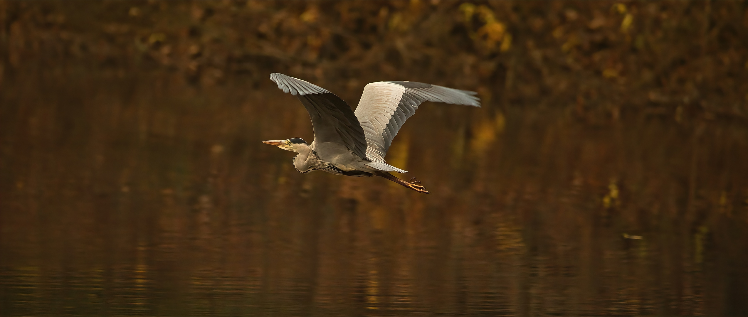 Flug übers Weiher