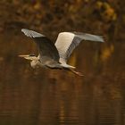 Flug übers Weiher