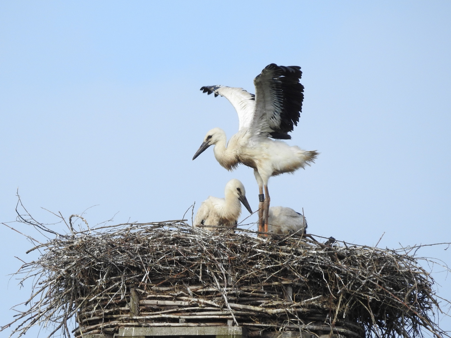 Flug Unterricht 1