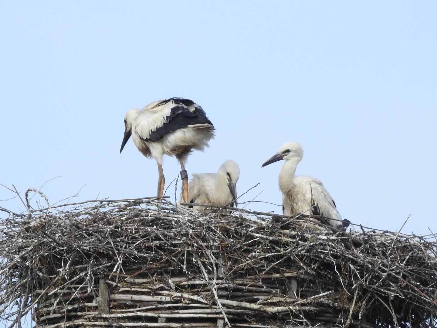 Flug Unterricht 3