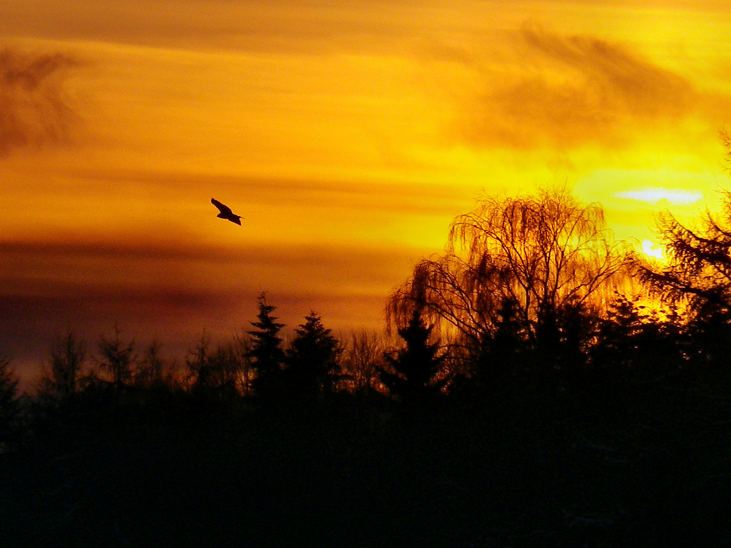 Flug zu Bett?