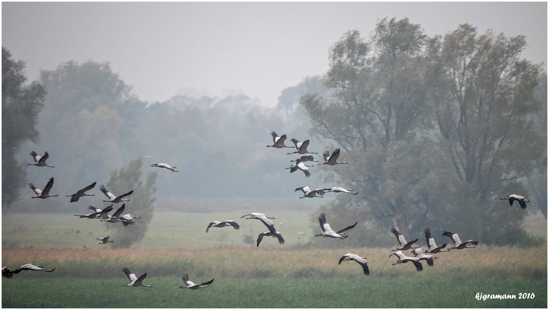 flug zu den futterplätzen......