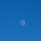 Flug zum Mond