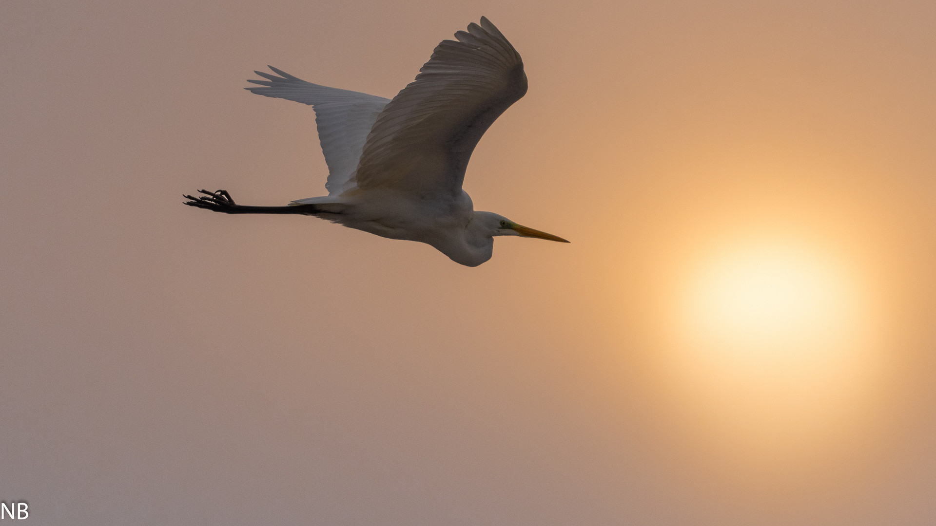 "Flug zur Sonne 2023"