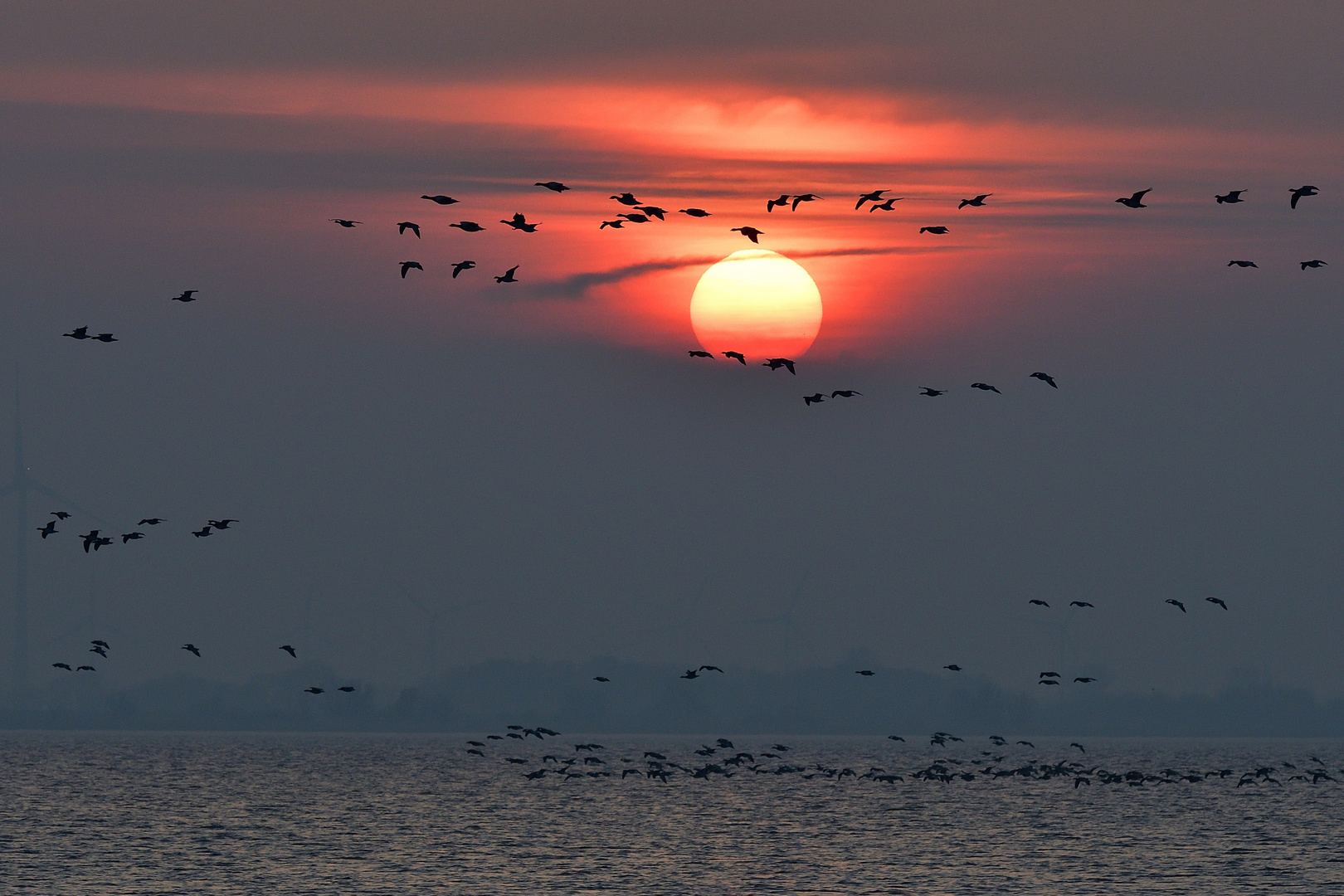 Flug zur Sonne