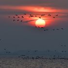 Flug zur Sonne