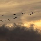 Flug zwischen den Wolken