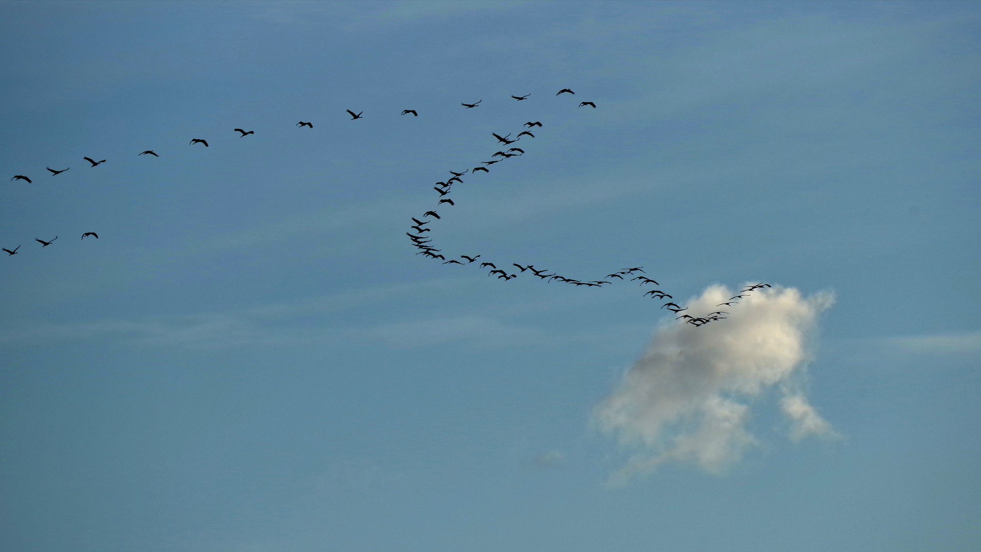 Flug zwischen den Wolken