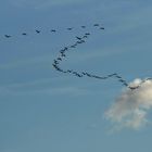 Flug zwischen den Wolken