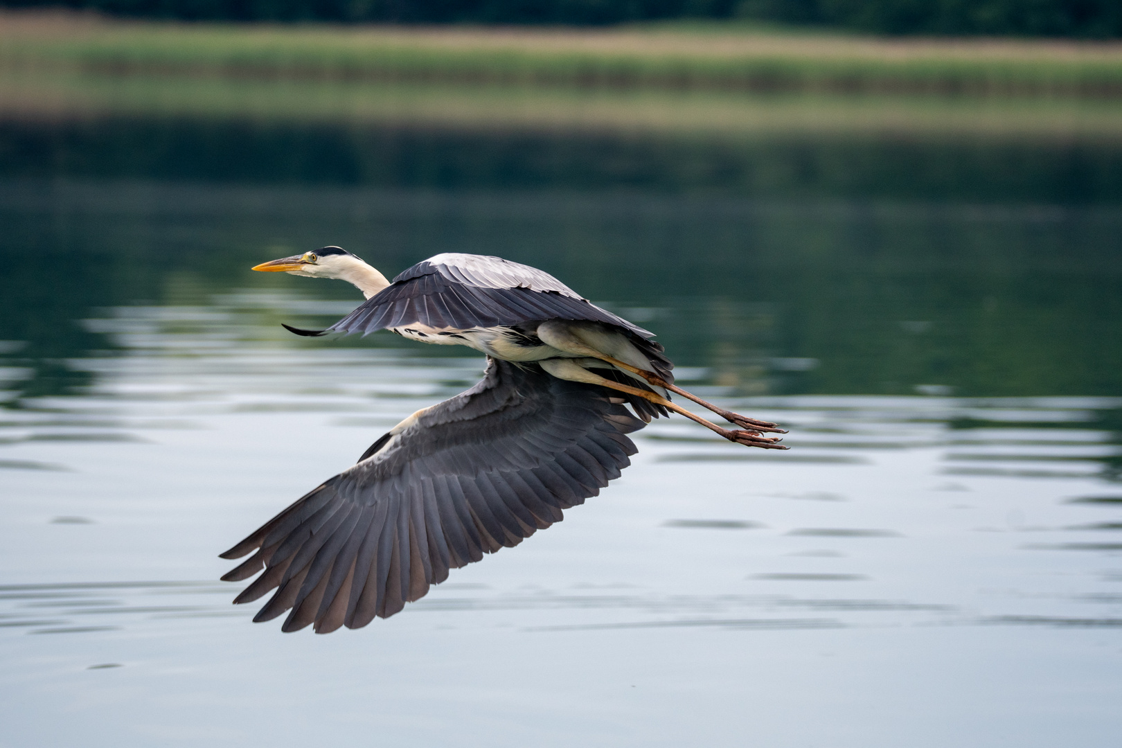 Flugakrobaten