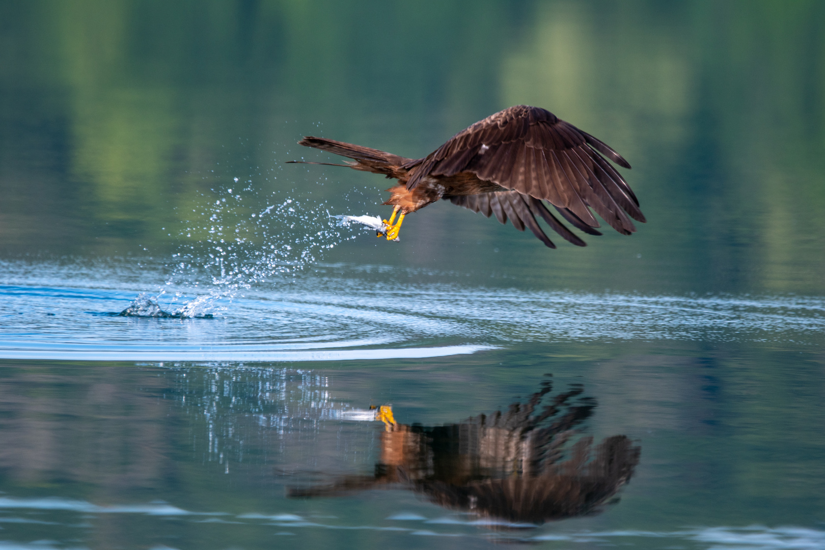 Flugakrobaten