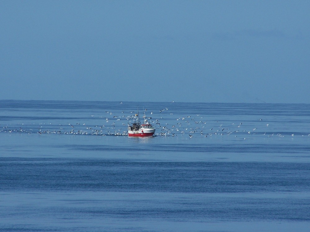 Flugakrobaten