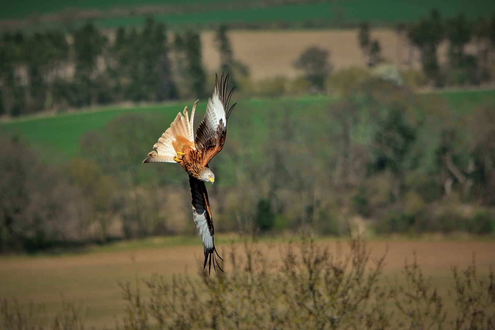 Flugakrobatik