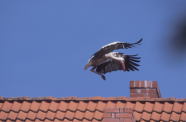 Flugakrobatik