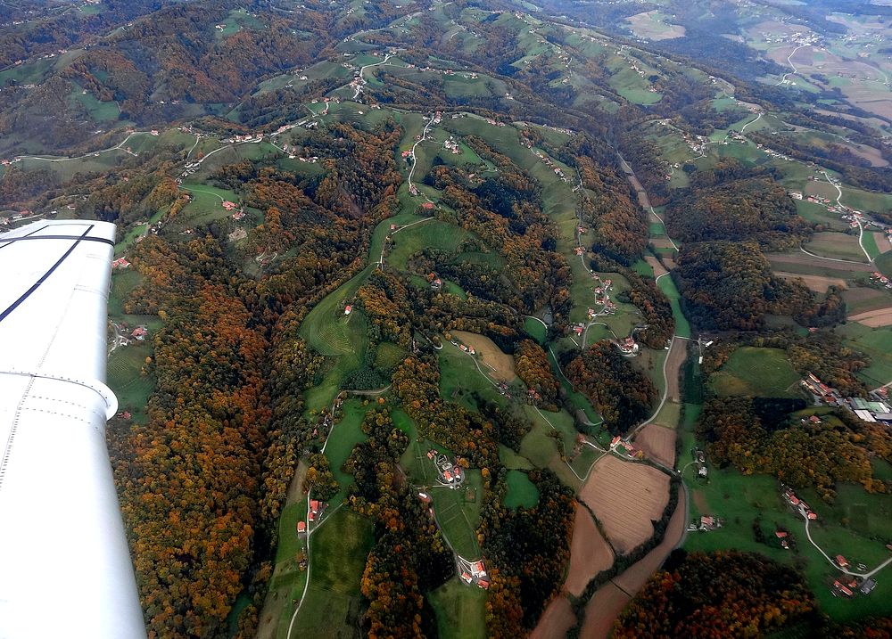 Flugaufnahme - Herbstwald