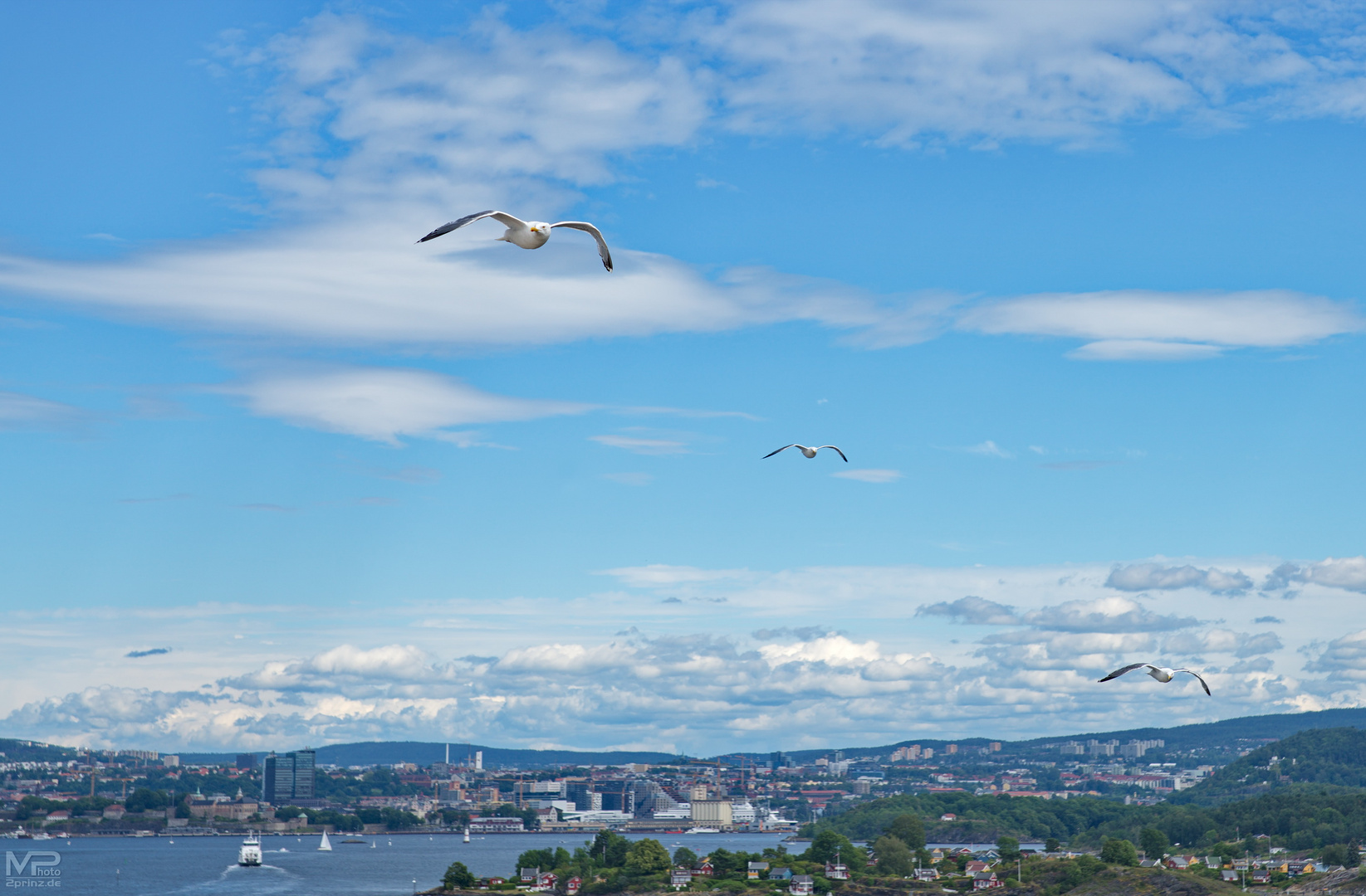 Flugbegleitung