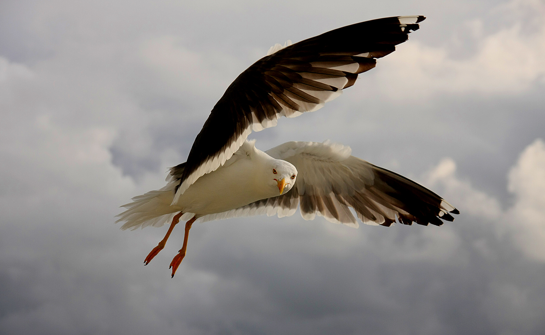 Flugbegleitung einer Fähre