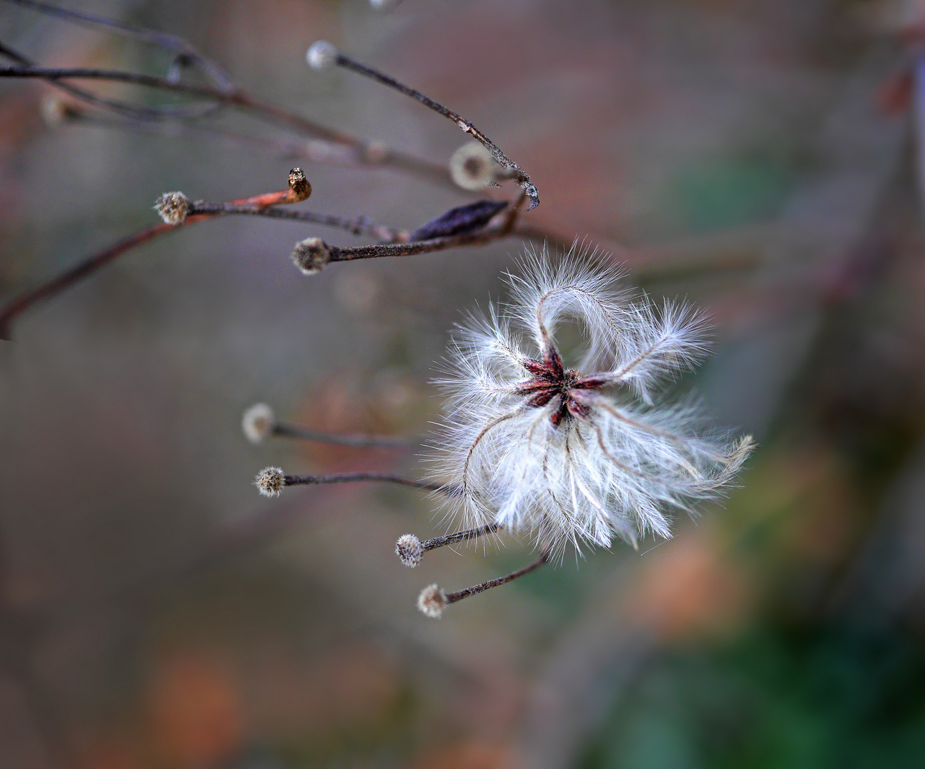 flugbereit