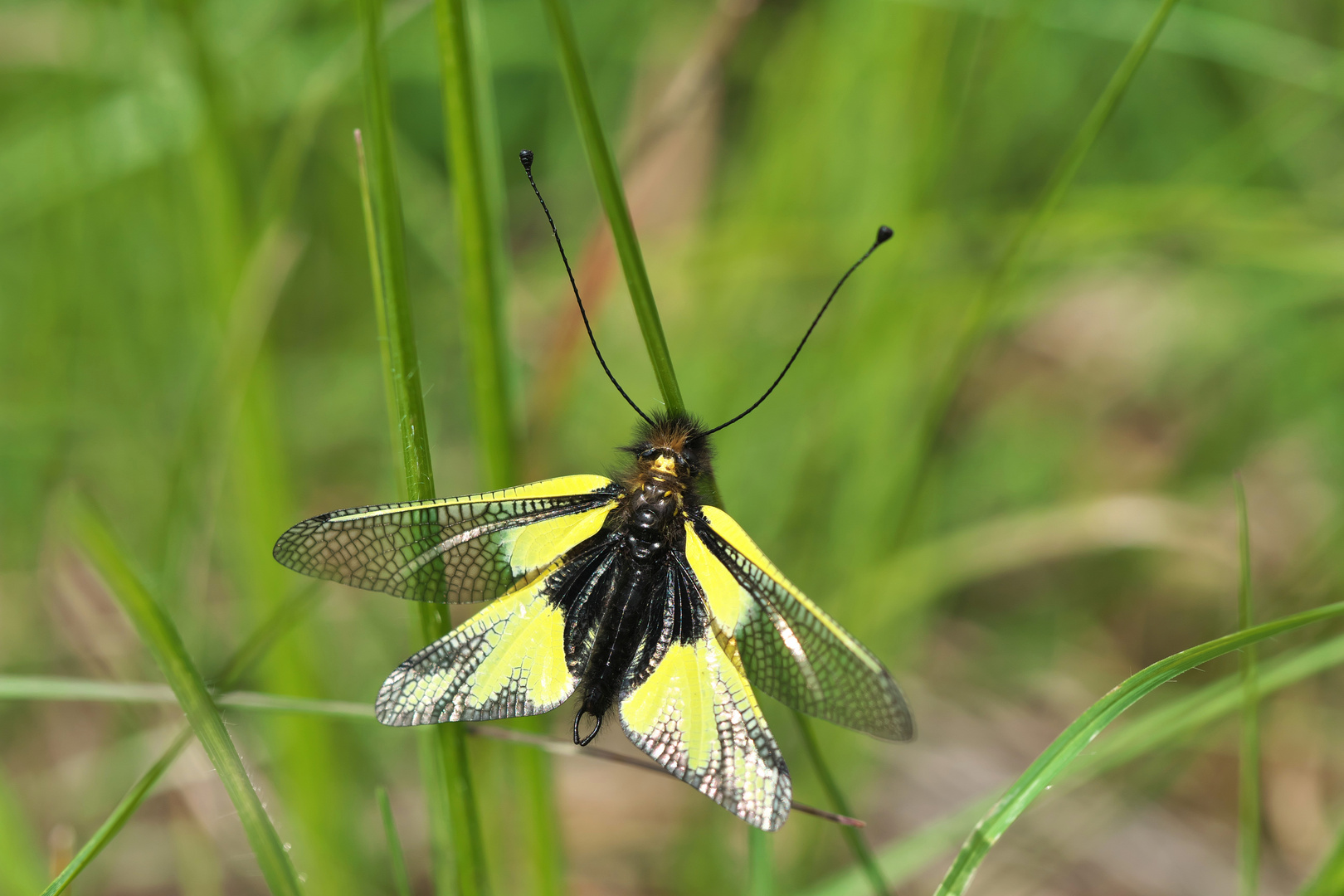 Flugbereit