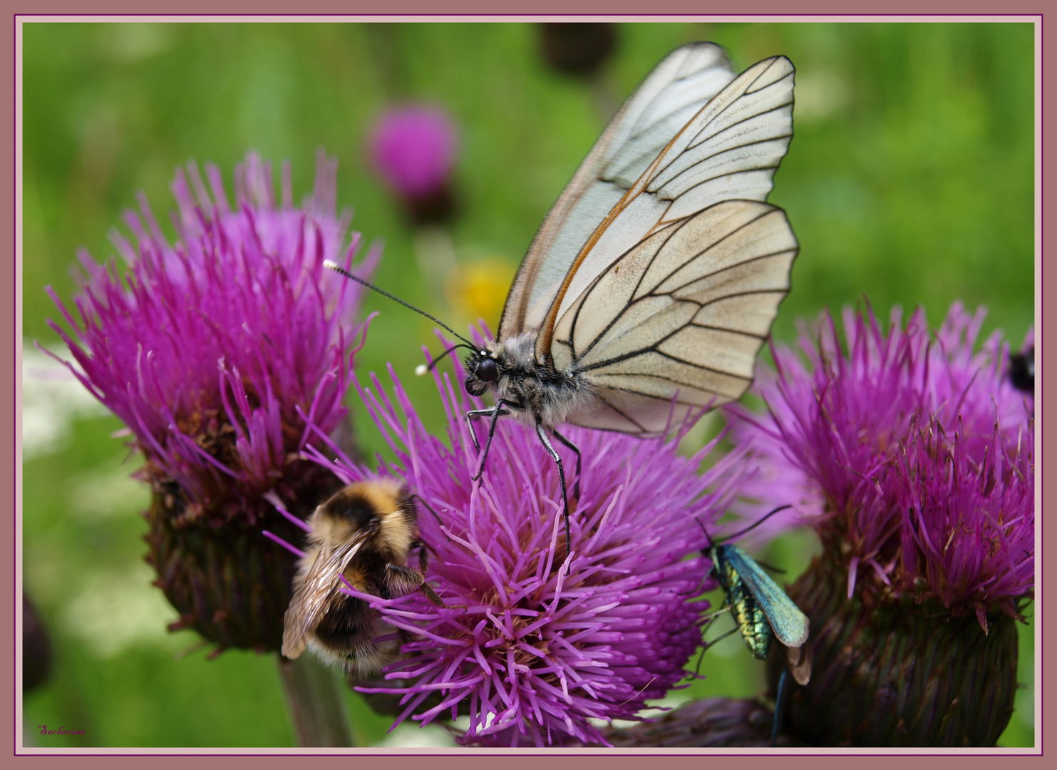 Flugbetrieb