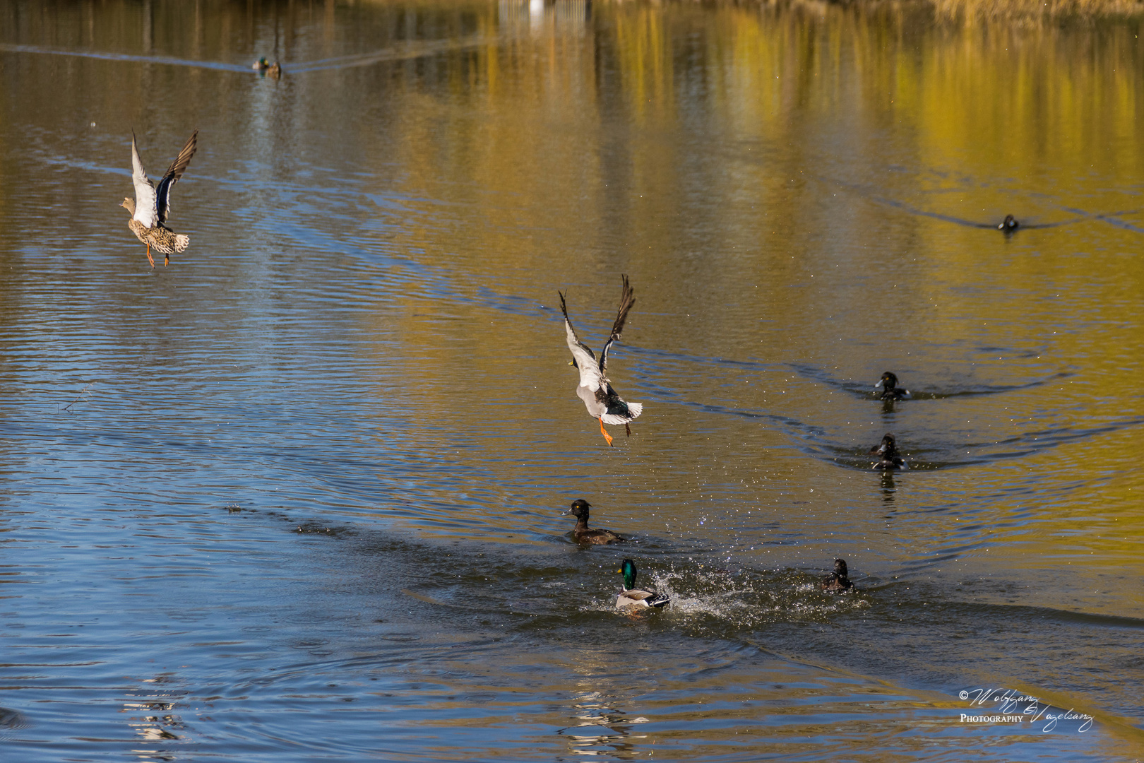 Flugbetrieb