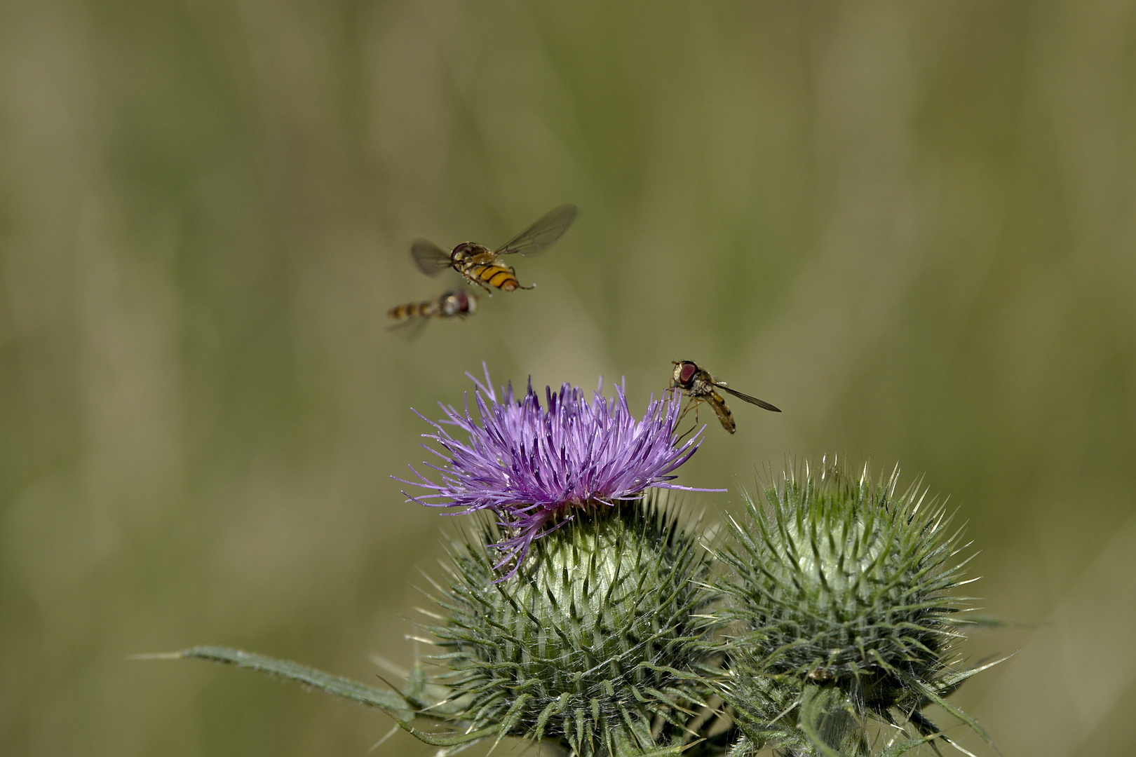 Flugbetrieb