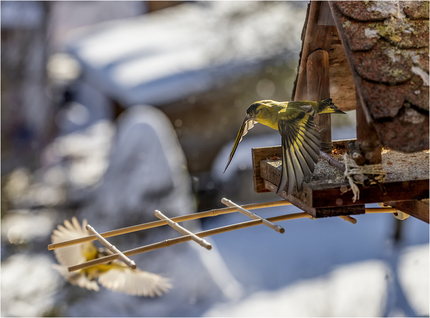 ... Flugbetrieb ...