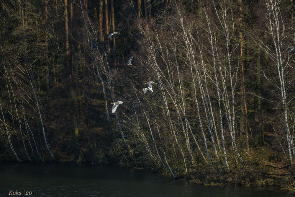 Flugbetrieb am See