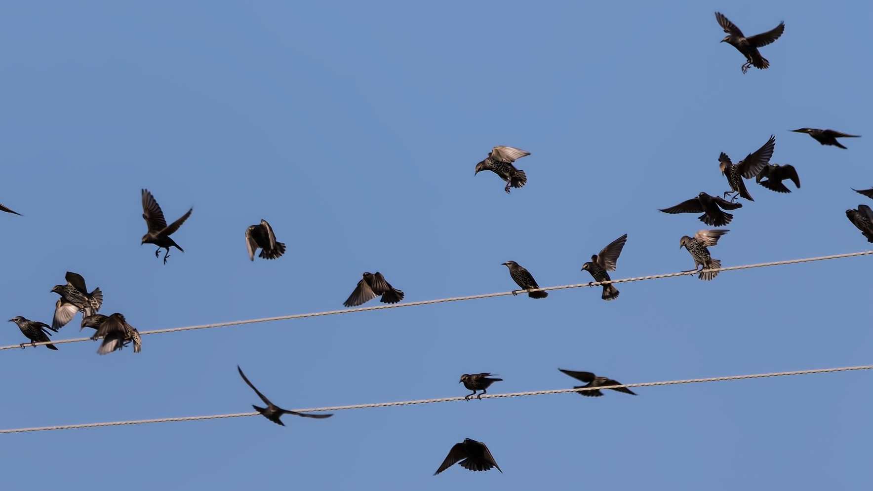 Flugbetrieb an der Hochspannungsleitung