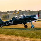 Flugbetrieb in Bienenfarm