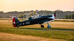 Flugbetrieb in Bienenfarm