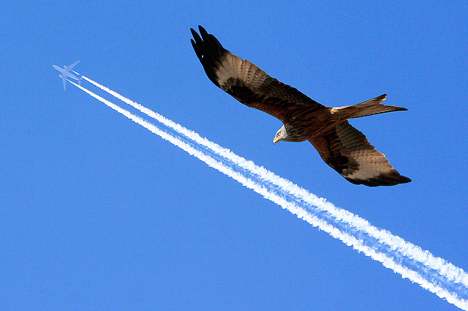 Flugbetrieb in Cochstedt...