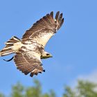 Flugbild mit blauem Himmel