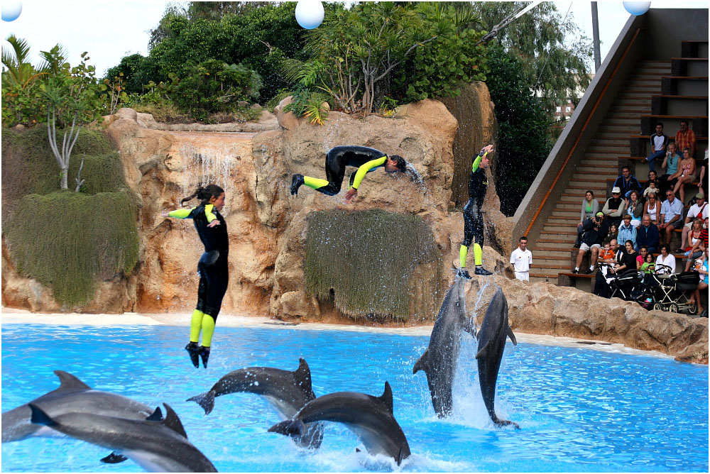 Flugeinlage im Loro Parque