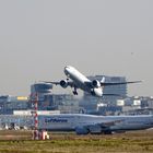 Flughafen Frankfurt 