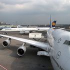 Flughafen Frankfurt/M