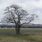 Flughafen Tempelhof