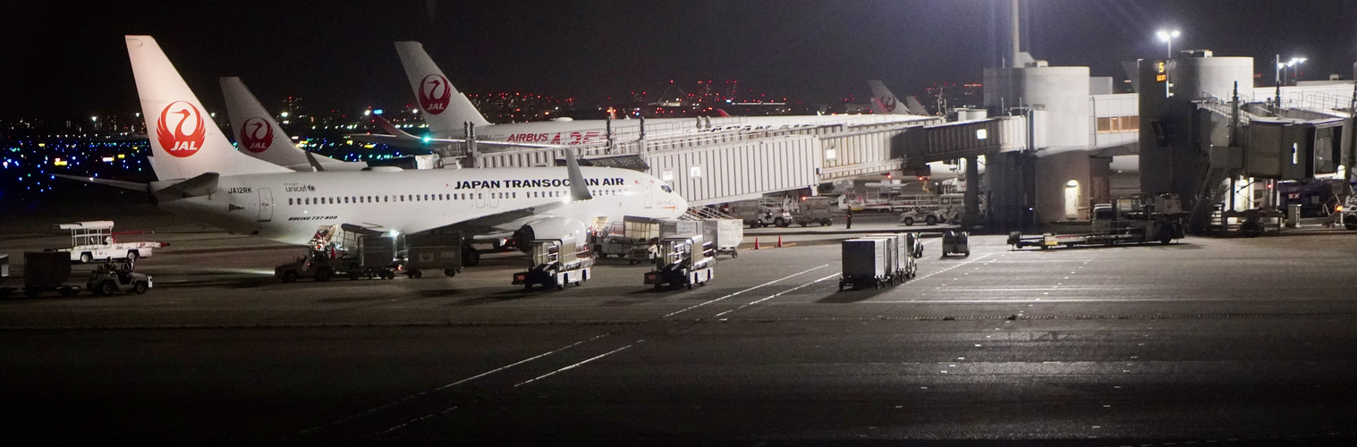 Flughafen Tokio Haneda 22:00 Uhr