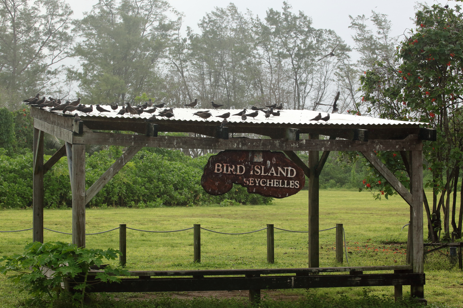 Flughafengebäude Bird Island