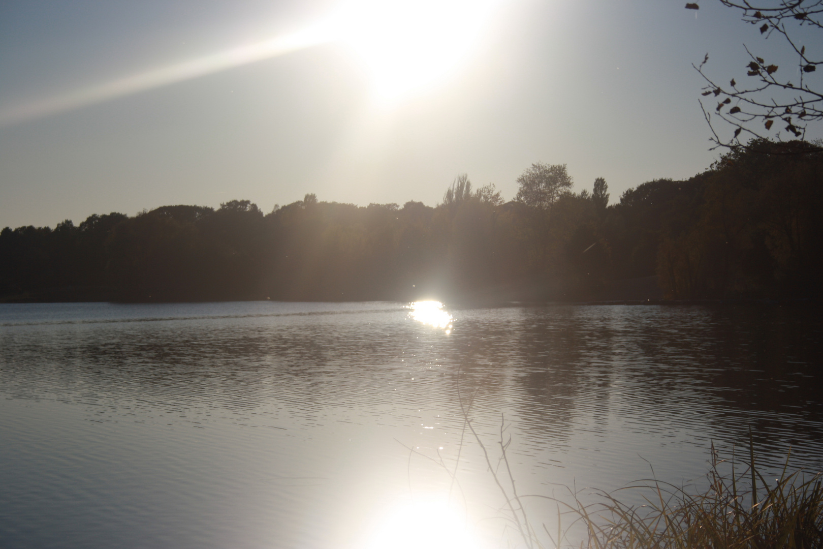 Flughafensee in Reinickendorf