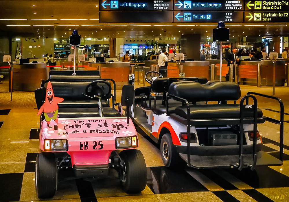 Flughafen_Singapore14#23