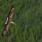 Flugmanöver am Romsdalfjord