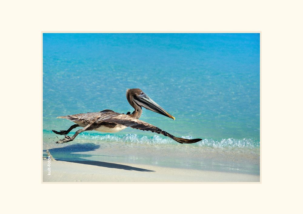 Flugobjekt am Strand von Kuba