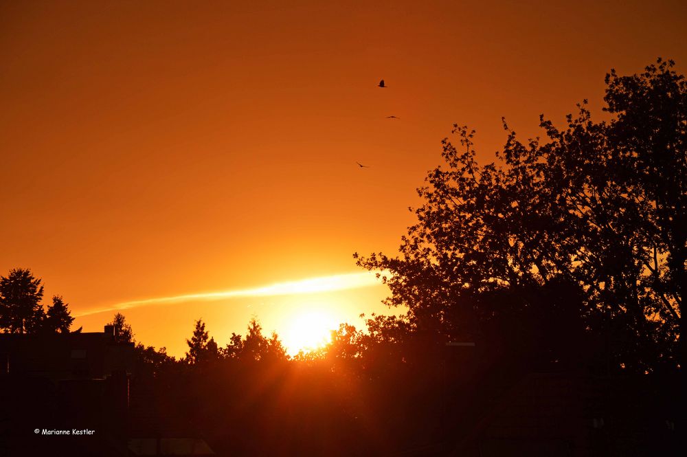 Flugobjekte am Abendhimmel