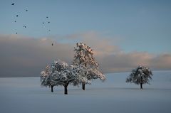 Flugobjekte im Schnee ..