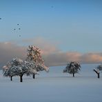 Flugobjekte im Schnee