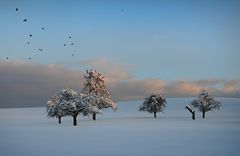 Flugobjekte im Schnee